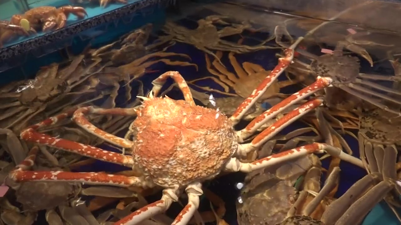 Watch Video - Spectrum Sports & Spectrum OC16